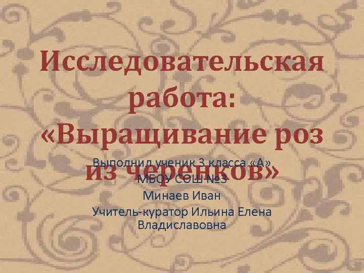 Исследовательская работа: «Выращивание роз Выполнил ученик 3 класса «А» из черенков» МБОУ СОШ №