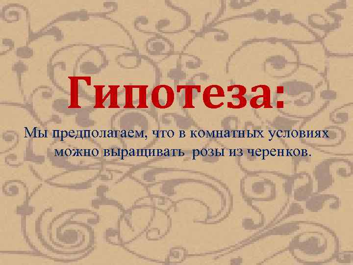 Гипотеза: Мы предполагаем, что в комнатных условиях можно выращивать розы из черенков. 