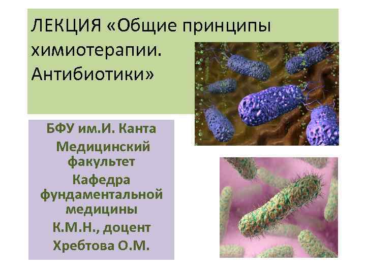 ЛЕКЦИЯ «Общие принципы химиотерапии. Антибиотики» БФУ им. И. Канта Медицинский факультет Кафедра фундаментальной медицины