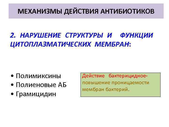 МЕХАНИЗМЫ ДЕЙСТВИЯ АНТИБИОТИКОВ 2. НАРУШЕНИЕ СТРУКТУРЫ И ФУНКЦИИ ЦИТОПЛАЗМАТИЧЕСКИХ МЕМБРАН: • Полимиксины • Полиеновые