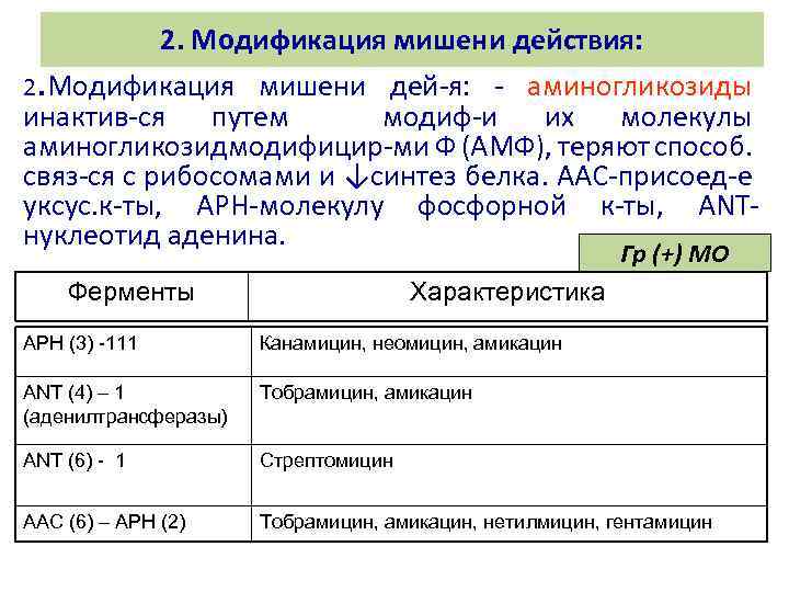 Какие антибиотики ингибируют синтез микробной стенки