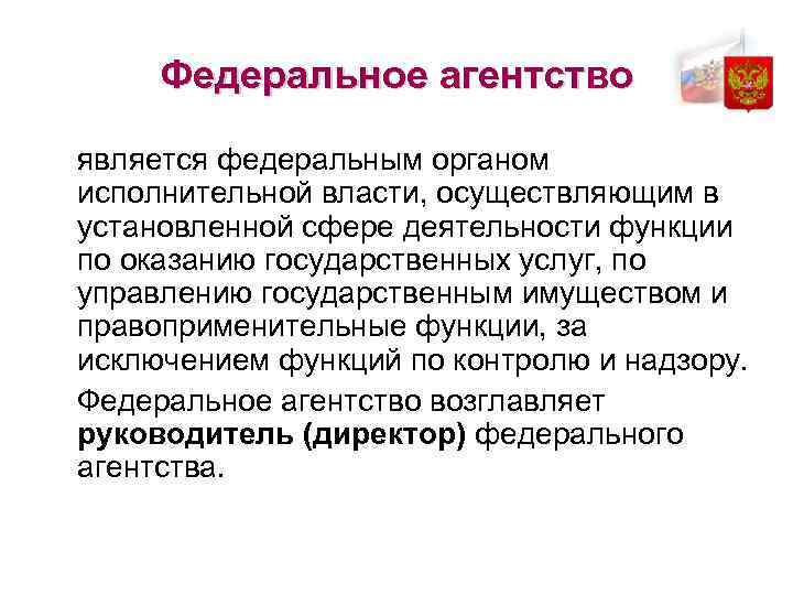 Федеральное агентство является федеральным органом исполнительной власти, осуществляющим в установленной сфере деятельности функции по