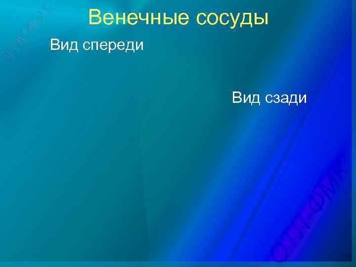 Венечные сосуды Вид спереди Вид сзади 