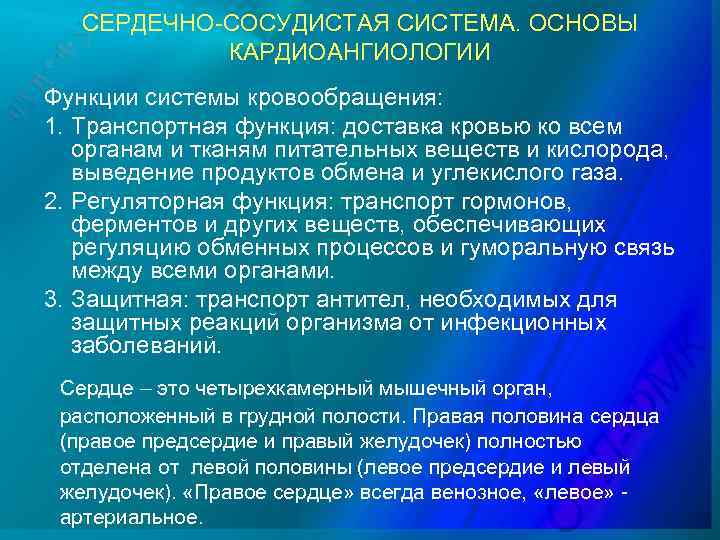 СЕРДЕЧНО-СОСУДИСТАЯ СИСТЕМА. ОСНОВЫ КАРДИОАНГИОЛОГИИ Функции системы кровообращения: 1. Транспортная функция: доставка кровью ко всем