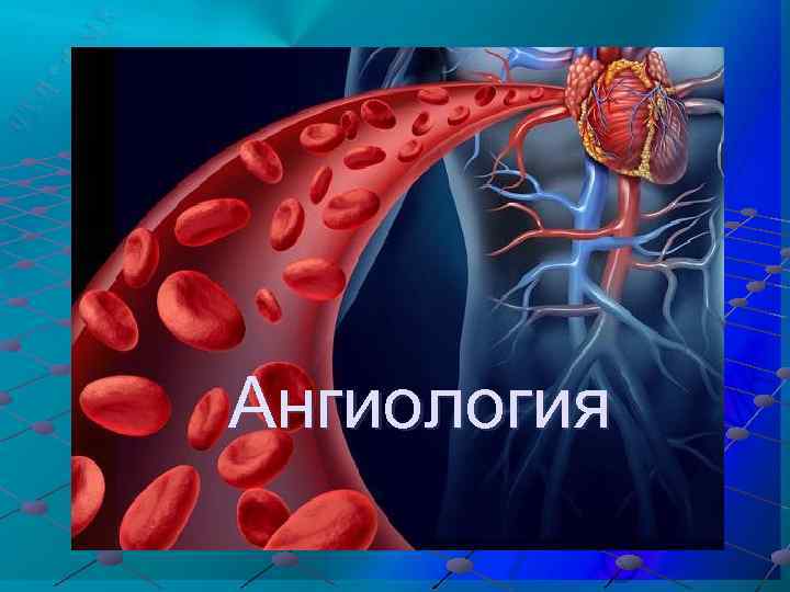 Ангиология 