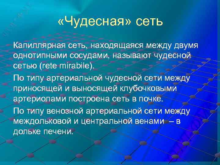  «Чудесная» сеть Капиллярная сеть, находящаяся между двумя однотипными сосудами, называют чудесной сетью (rete