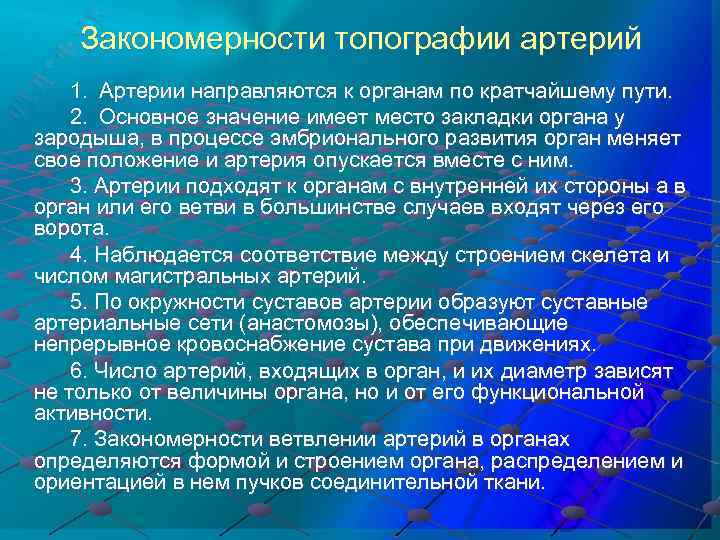 Закономерности топографии артерий 1. Артерии направляются к органам по кратчайшему пути. 2. Основное значение