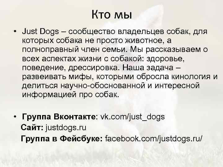 Кто мы • Just Dogs – сообщество владельцев собак, для которых собака не просто