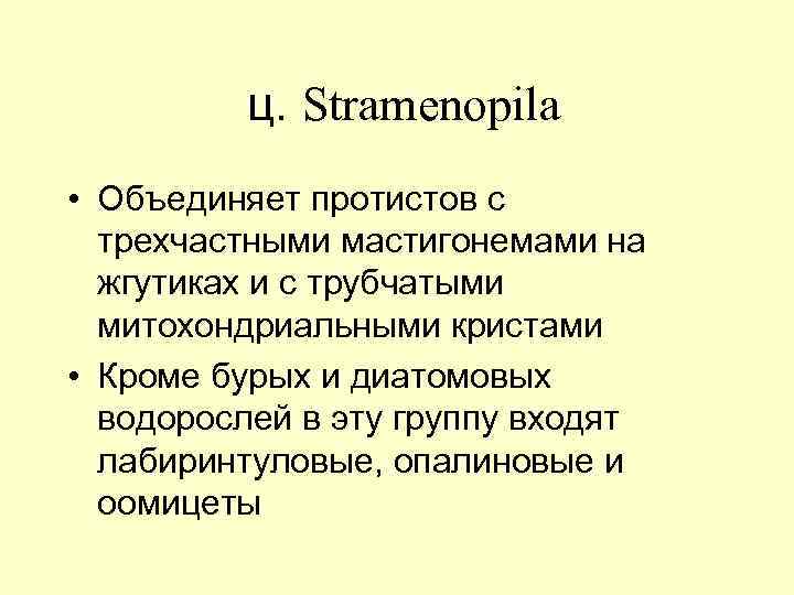  ц. Stramеnopila • Объединяет протистов с трехчастными мастигонемами на жгутиках и с трубчатыми