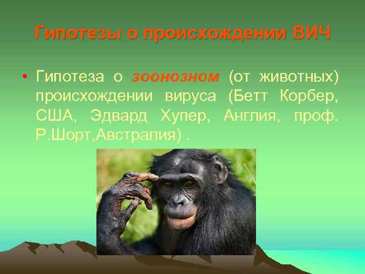 Гипотезы о происхождении ВИЧ • Гипотеза о зоонозном (от животных) происхождении вируса (Бетт Корбер,