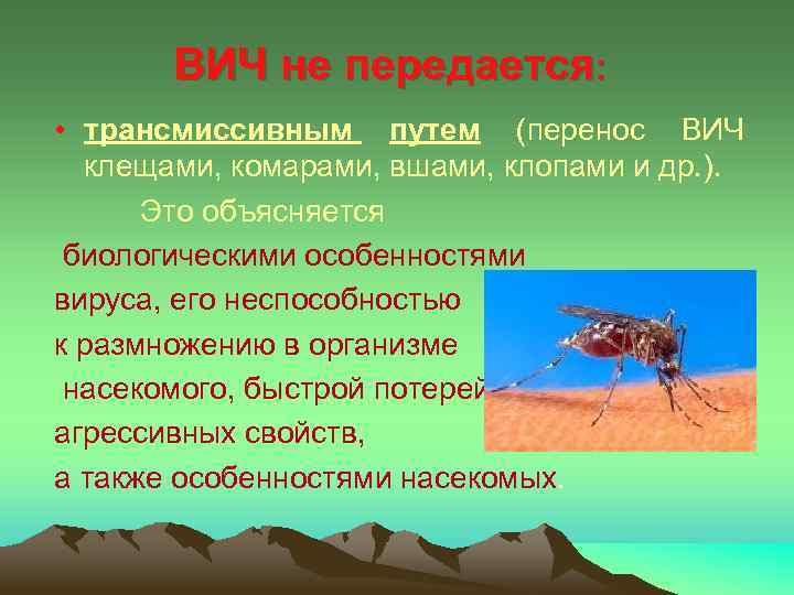 ВИЧ не передается: • трансмиссивным путем (перенос ВИЧ клещами, комарами, вшами, клопами и др.