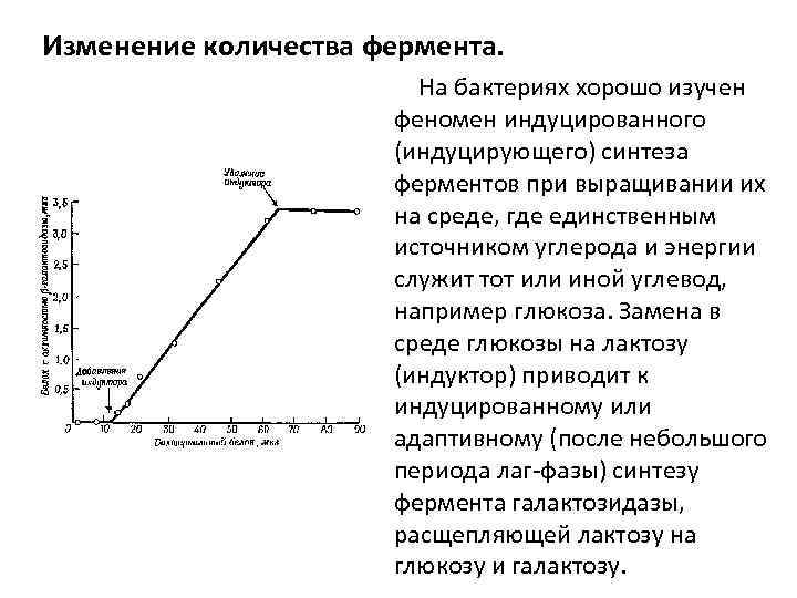 Изменение количества фермента. На бактериях хорошо изучен феномен индуцированного (индуцирующего) синтеза ферментов при выращивании