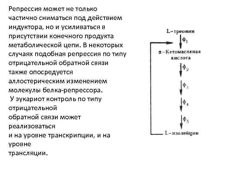Репрессия может не только частично сниматься под действием индуктора, но и усиливаться в присутствии