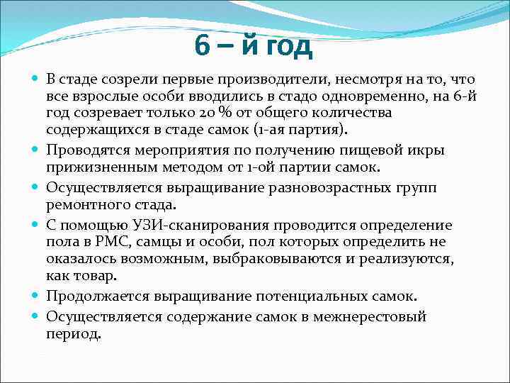6 – й год В стаде созрели первые производители, несмотря на то, что все
