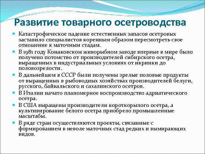 Развитие товарного осетроводства Катастрофическое падение естественных запасов осетровых заставило специалистов коренным образом пересмотреть свое