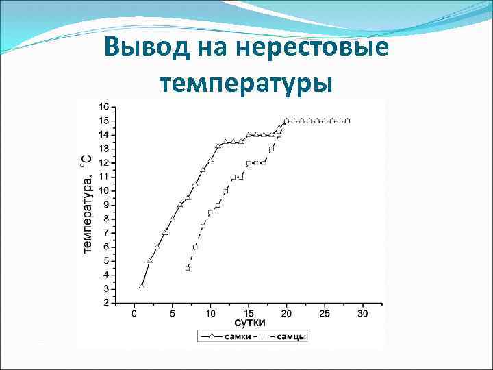 Вывод на нерестовые температуры 
