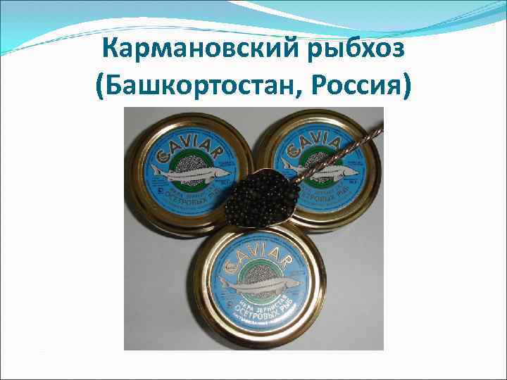 Кармановский рыбхоз (Башкортостан, Россия) 