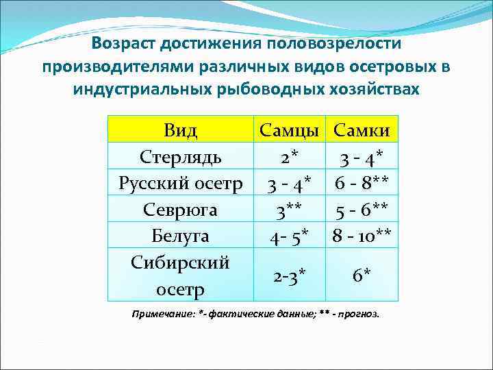 Возраст достижения половозрелости производителями различных видов осетровых в индустриальных рыбоводных хозяйствах Вид Самцы Самки