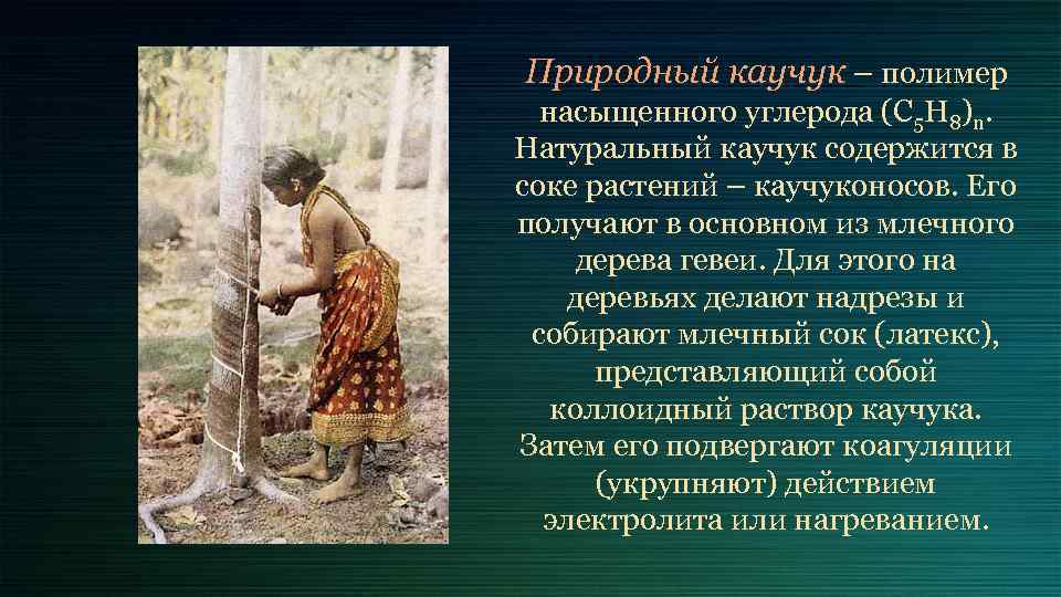 Природный каучук – полимер насыщенного углерода (C 5 H 8)n. Натуральный каучук содержится в