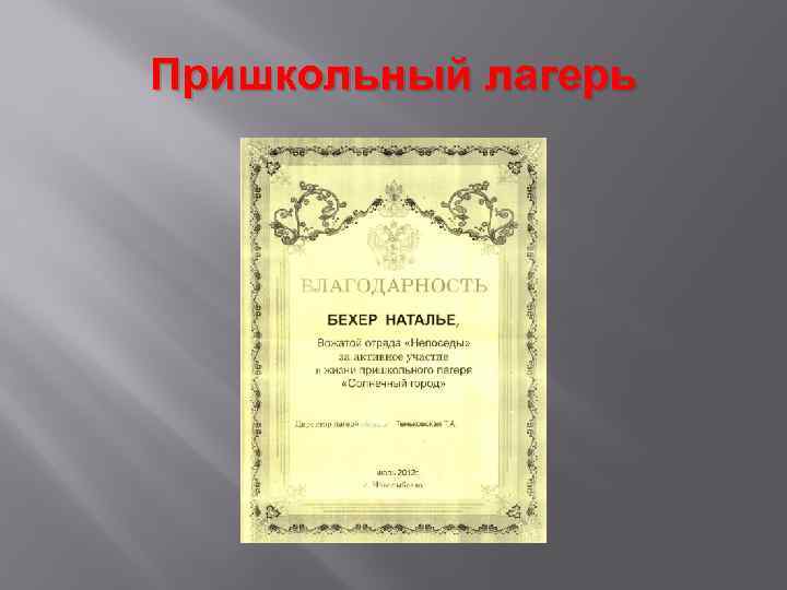 Пришкольный лагерь 