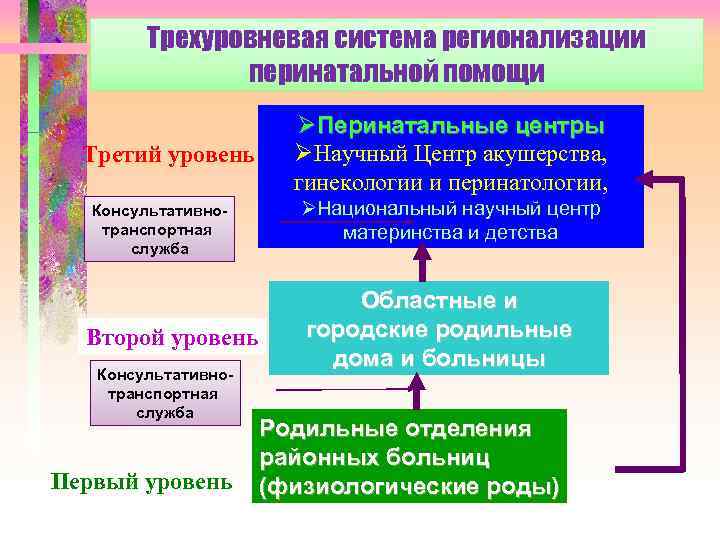 Структура Акушерской Службы Дипломная Работа