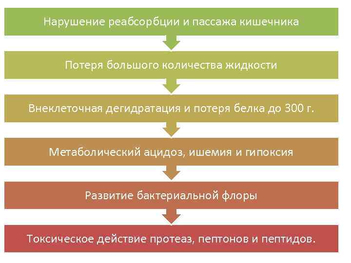 Нарушение реабсорбции и пассажа кишечника Потеря большого количества жидкости Внеклеточная дегидратация и потеря белка