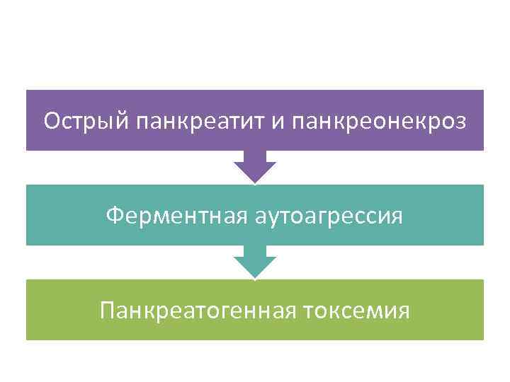 Острый панкреатит и панкреонекроз Ферментная аутоагрессия Панкреатогенная токсемия 