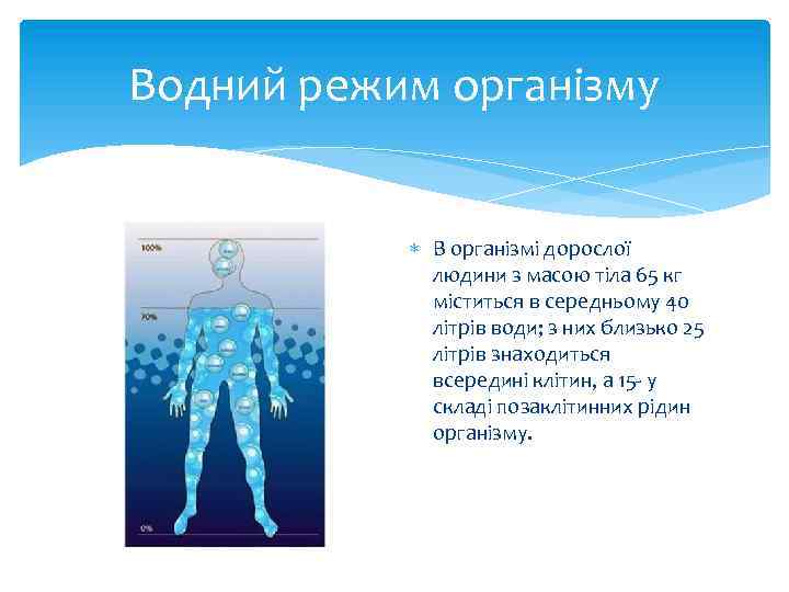 Водний режим організму В організмі дорослої людини з масою тіла 65 кг міститься в