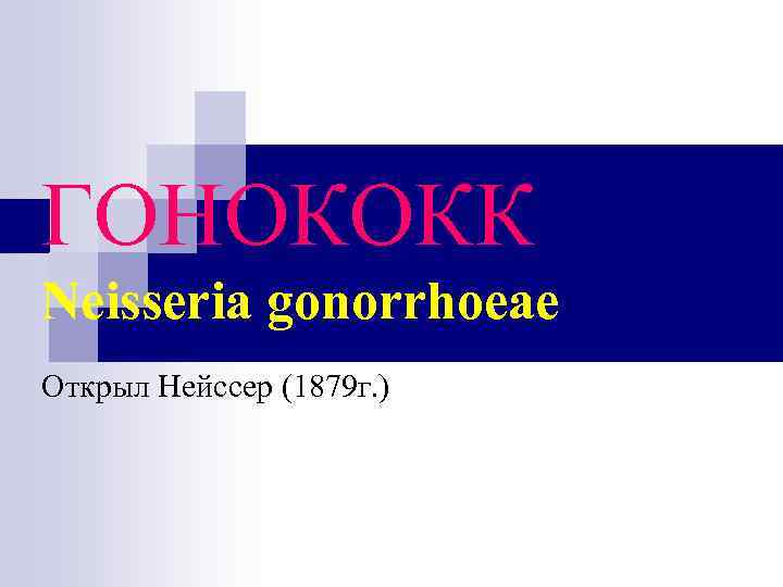 ГОНОКОКК Neisseria gonorrhoeae Открыл Нейссер (1879 г. ) 