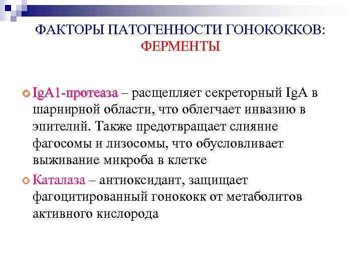 ФАКТОРЫ ПАТОГЕННОСТИ ГОНОКОККОВ: ФЕРМЕНТЫ Ig. A 1 -протеаза – расщепляет секреторный Ig. A в