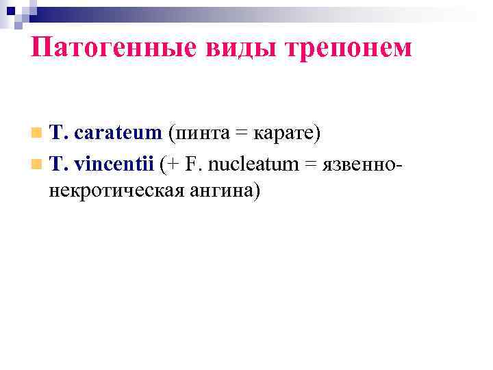 Патогенные виды трепонем T. carateum (пинта = карате) T. vincentii (+ F. nucleatum =