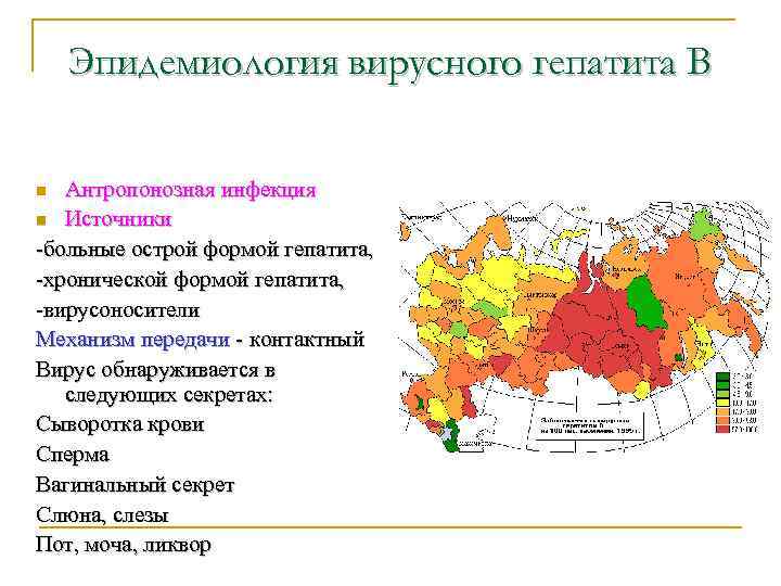 Эпидемиология вирусного гепатита В Антропонозная инфекция n Источники -больные острой формой гепатита, -хронической формой