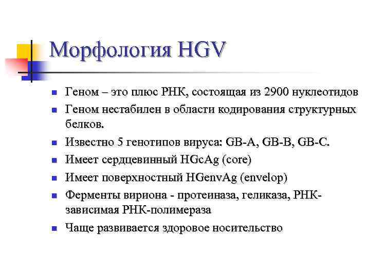 Морфология HGV n n n n Геном – это плюс РНК, состоящая из 2900