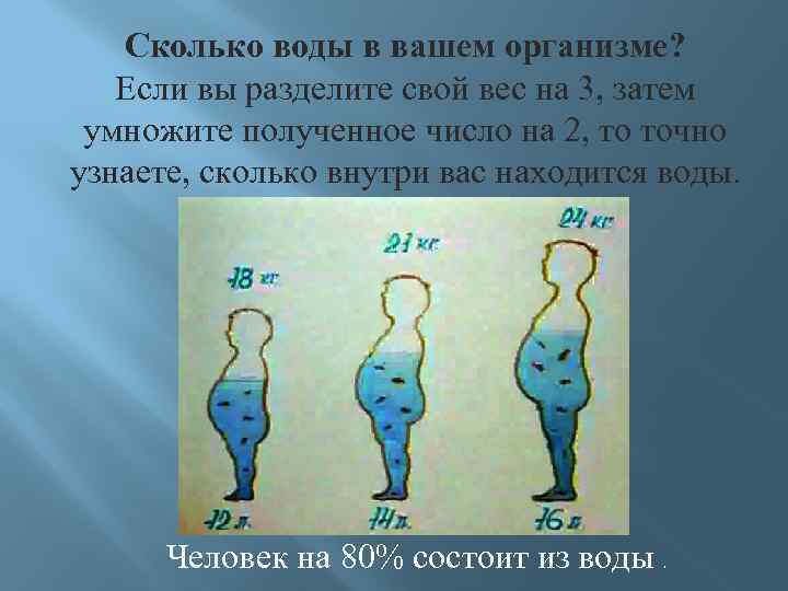 Весом занимает. Как понять сколько воды в организме. Сунльуо в человекае воды. Масса воды в теле человека.