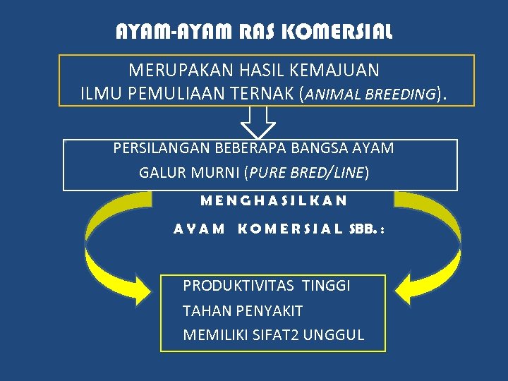 AYAM-AYAM RAS KOMERSIAL MERUPAKAN HASIL KEMAJUAN ILMU PEMULIAAN TERNAK (ANIMAL BREEDING). PERSILANGAN BEBERAPA BANGSA