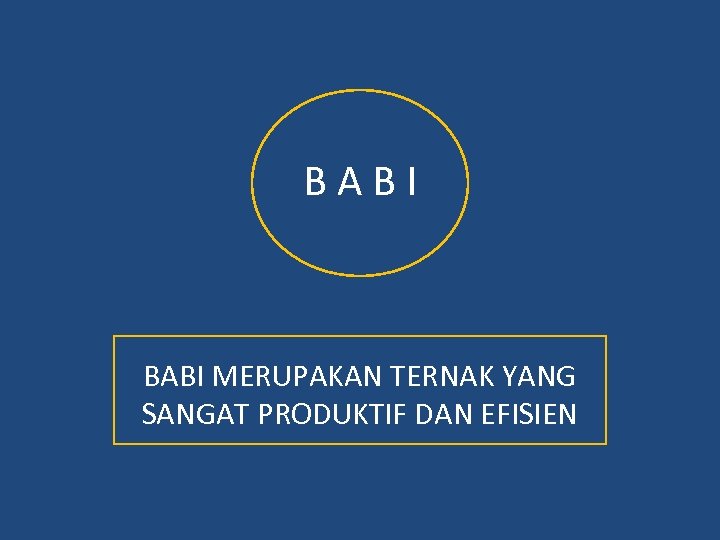 BABI MERUPAKAN TERNAK YANG SANGAT PRODUKTIF DAN EFISIEN 
