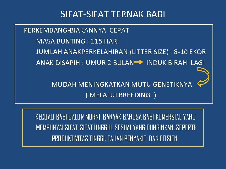 SIFAT-SIFAT TERNAK BABI PERKEMBANG-BIAKANNYA CEPAT MASA BUNTING : 115 HARI JUMLAH ANAKPERKELAHIRAN (LITTER SIZE)