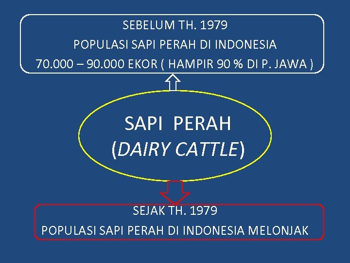 SEBELUM TH. 1979 POPULASI SAPI PERAH DI INDONESIA 70. 000 – 90. 000 EKOR