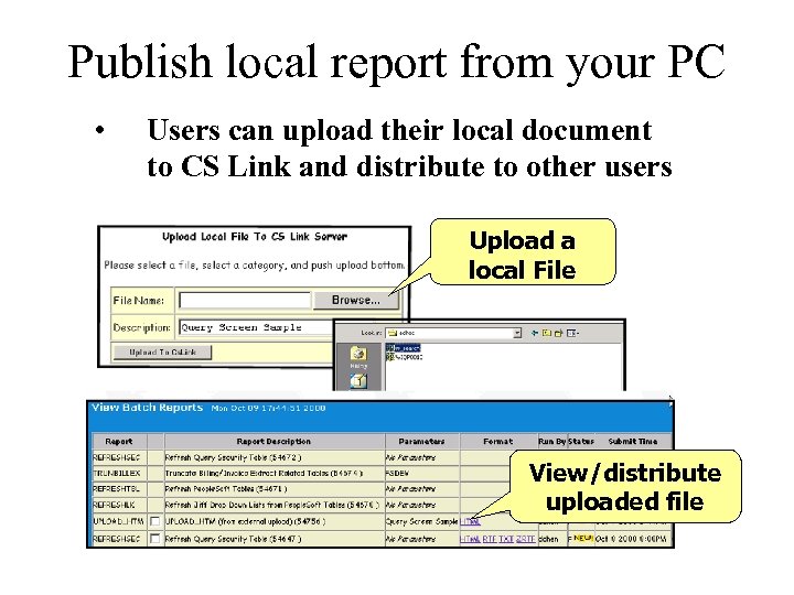 Publish local report from your PC • Users can upload their local document to