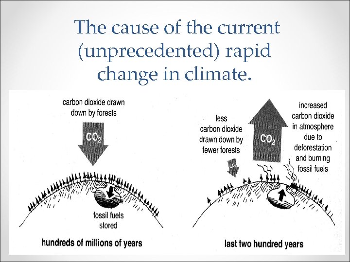 The cause of the current (unprecedented) rapid change in climate. 