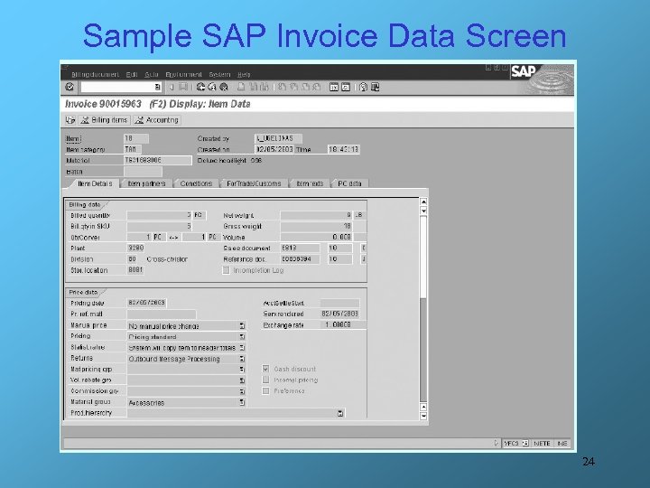 Sample SAP Invoice Data Screen 24 