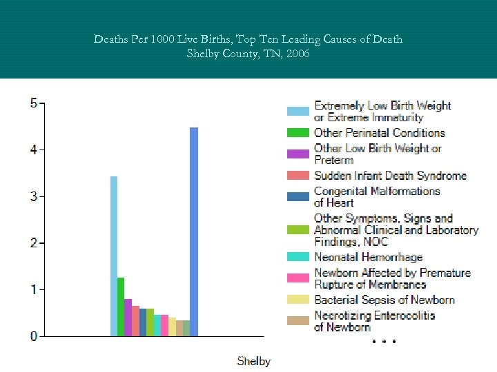 Deaths Per 1000 Live Births, Top Ten Leading Causes of Death Shelby County, TN,