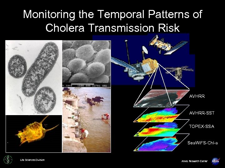 Monitoring the Temporal Patterns of Cholera Transmission Risk AVHRR-SST TOPEX-SSA Sea. Wi. FS-Chl-a Life