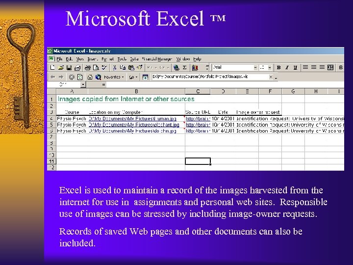 Microsoft Excel ™ Excel is used to maintain a record of the images harvested