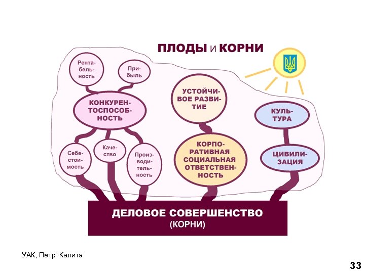 УАК, Петр Калита 33 