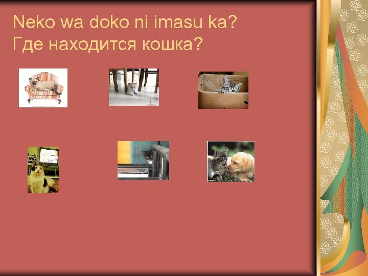 Neko wa doko ni imasu ka? Где находится кошка? 