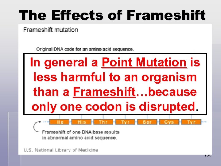 The Effects of Frameshift Mutations § A Frameshift Mutation is the removal or addition