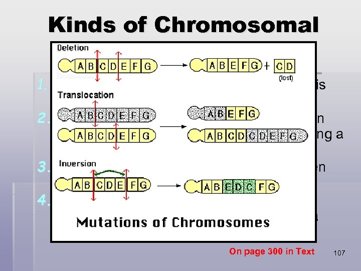 Kinds of Chromosomal Mutations 1. Deletion: When a part of a chromosome is left