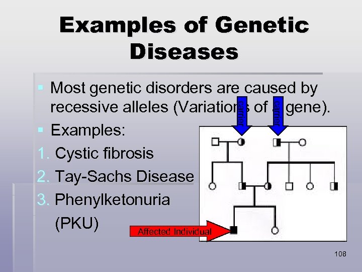 Examples of Genetic Diseases carrier § Most genetic disorders are caused by recessive alleles