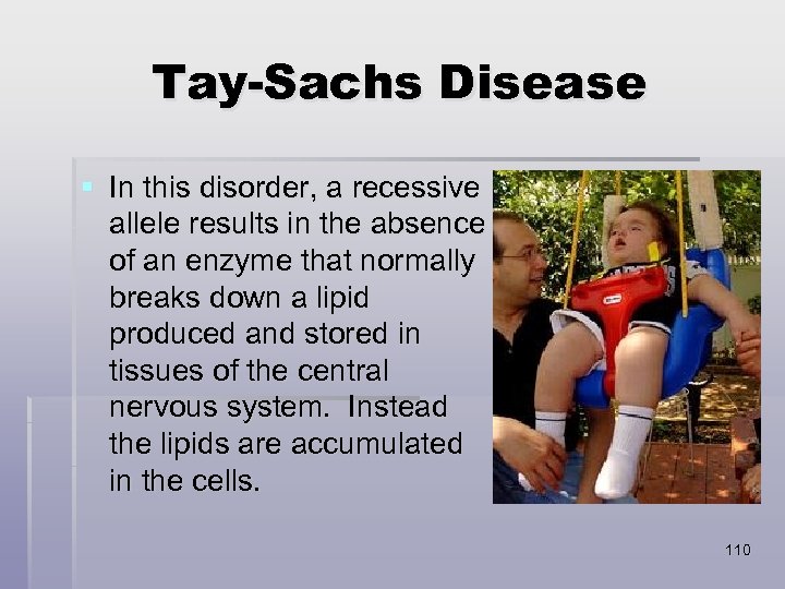 Tay-Sachs Disease § In this disorder, a recessive allele results in the absence of